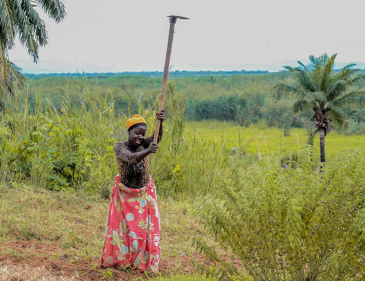 Agricultora em área de cultivo em Kigoma, Tanzânia